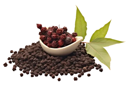 black-pepper-mei black-pepper-mei