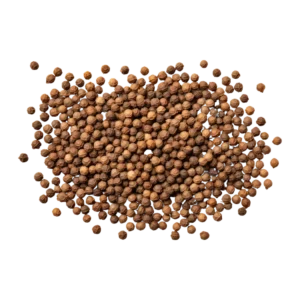 coriander-seeds-mei coriander-seeds-mei