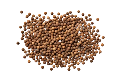 coriander-seeds-mei coriander-seeds-mei