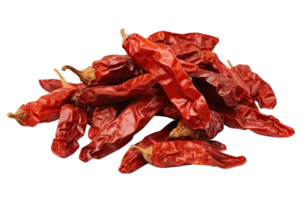 dried-chillies dried-chillies