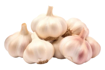 garlic-mei garlic-mei