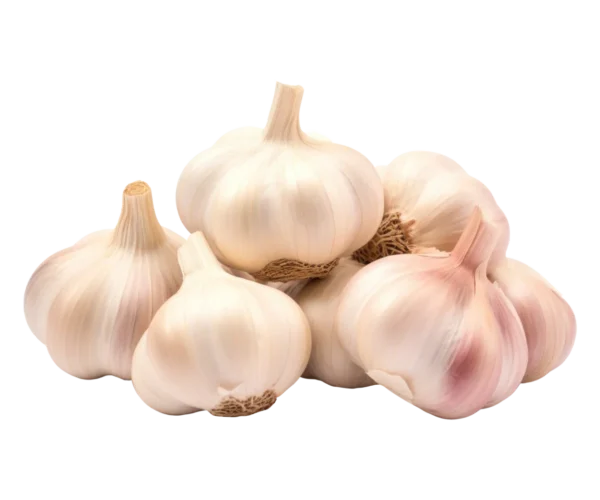 garlic-mei garlic-mei